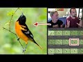 Bird Photography Tutorial | How To Select YOUR BEST photos