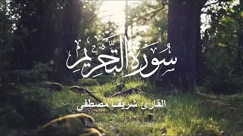 جميع سور جزء قد سمع كاملة   ارح قلبك     القارئ شريف مصطفى