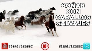 Significado de SOÑAR CON CABALLOS SALVAJES 🔞 ¿Que Significa?