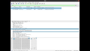 Wireshark DHCP traffic