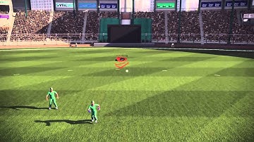 Don Bradman Cricket Top Edge