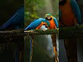 #birds #wildlifeentertainment Wild Amazon Amazon rainforest Amazon plants Amazon nature