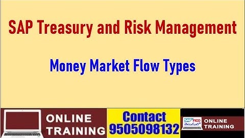SAP S4HANA Treasury and Risk Management || Money Market Flow Types