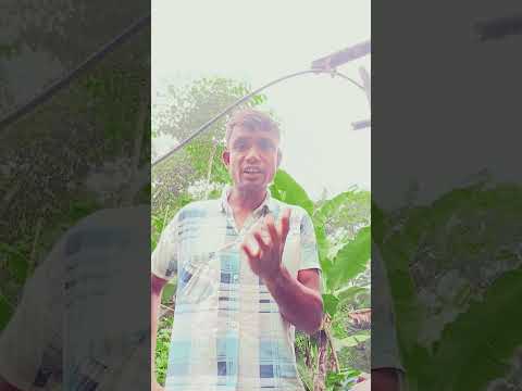 tv aur biwi mein kya fark hota Hai #comedy #funny #whatssofunny