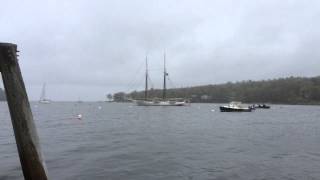 Schooner Mary Day sails out of Camden, Maine