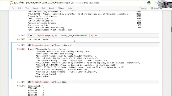 Ian Ozsvald - Making Pandas Fly | PyData Fest Amsterdam 2020