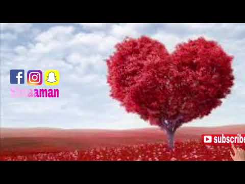 Best Oromo Music Sirba Bareda Song