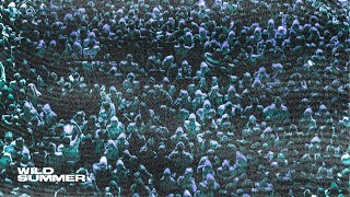 Download Lagu Miles Minnick, Jon Keith, nobigdyl. - WILD SUMMER (Official Audio) MP3