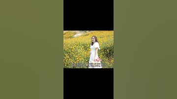 Tin tức: Dự báo thời tiết dịp lễ Quốc khánh 2/9