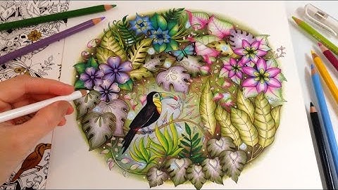 Magical Jungle: The Toucan - Part 2 | Coloring With Colored Pencils