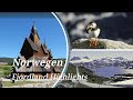 Norwegen, Norway -Der Süden-Fjordland-Highlights: Fjord, Fjell,Stabkirchen, Gletscher,Papageitaucher