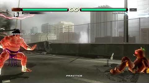 TEKKEN 6 - Ganryu