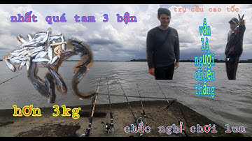 Câu cá trên cầu cao tốc/TV CÁ HEO