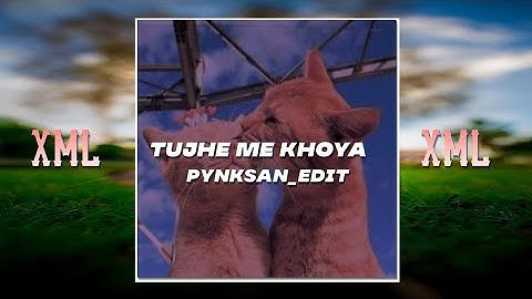tujhe me khoya ❣️💫#hindisong xml file 🔰 indiscription 📌🌈