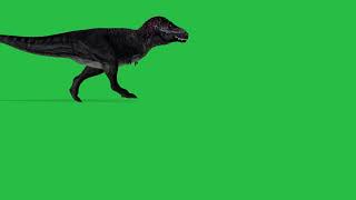 T-Rex Dinosaur Green screen