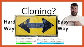 Easy CRISPR/Cas9 gRNA plasmid cloning