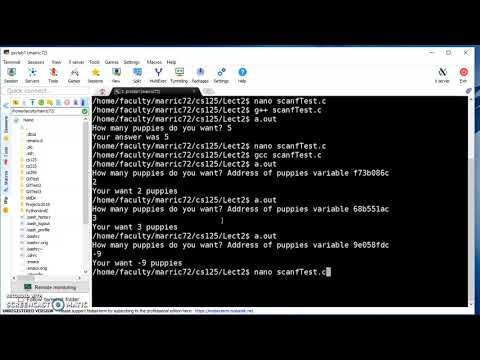 C programming - scanf and if statements