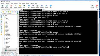 C programming - scanf and if statements