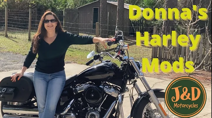 Donna's Harley Mods
