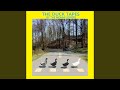 Duck poem  the fall feeders  2023