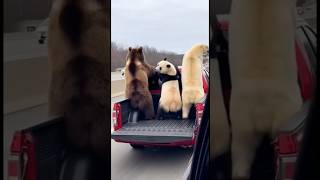 Pero Y Esto Jajaja De Locos El Trio Perfecto Existe