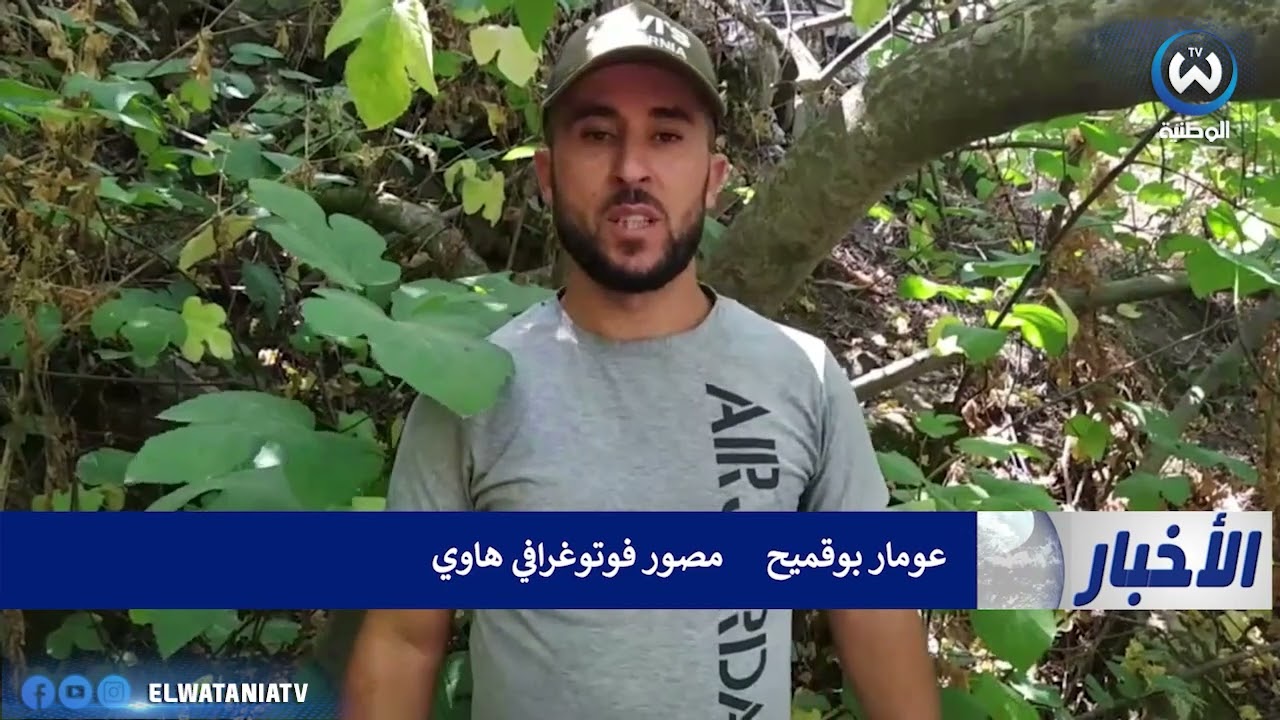 جمال المناظر الطبيعية في بلدية أولاد رابح بجيجل وجهة محبي السياحة الجبلية