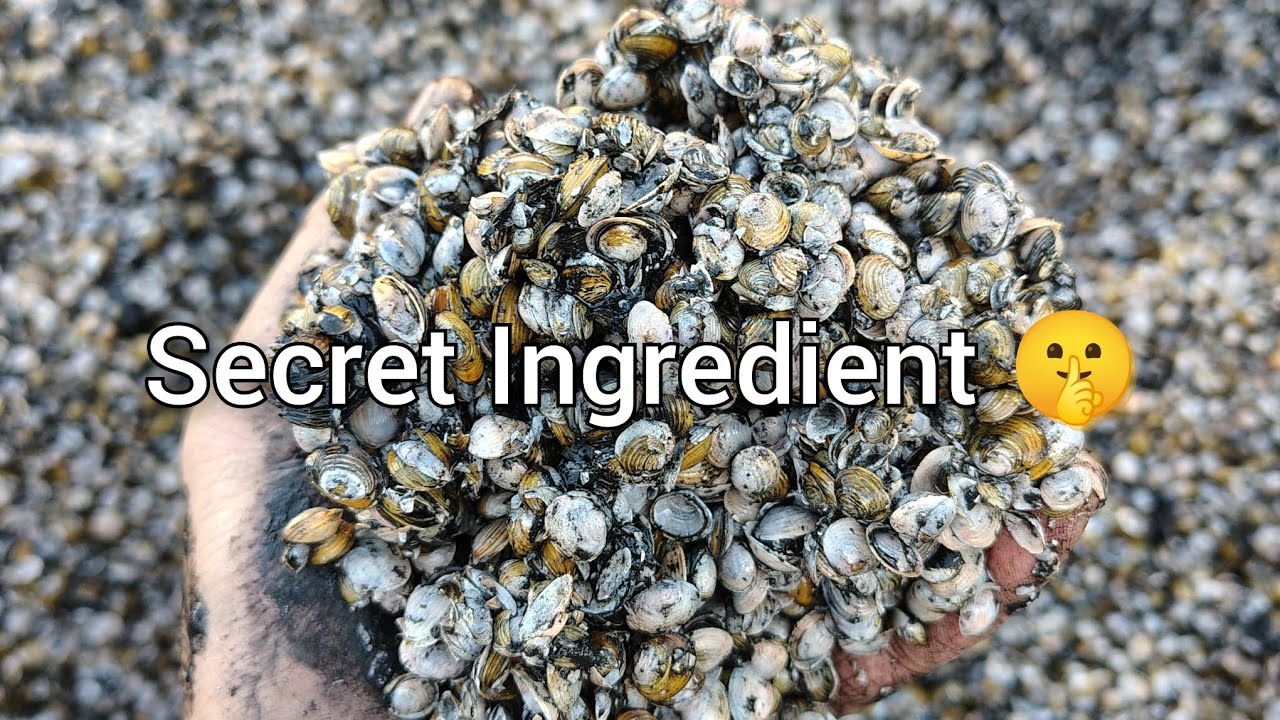 Potting Shell Why Do We Put Shells in Our Potting Mix?! - YouTube