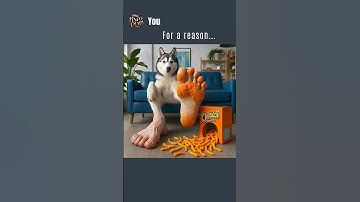 How to CORRECTLY Eat Cheetos..!! #memes#ai#aiart#chatgpt