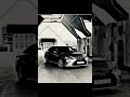 مصري استكنان على حسبي وداد بطيء
