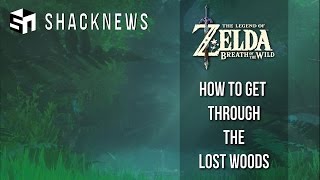 Zelda Breath Of The Wild How To Get Through The Lost Woods Youtube