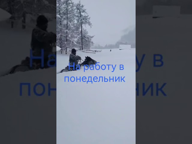 Если в пути на работу застала метель — есть один способ, как добраться до точки назначения