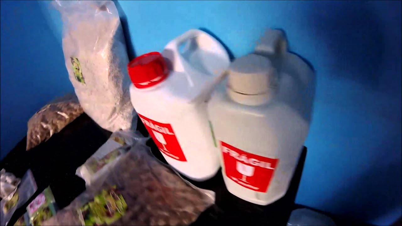 THCPROCE - os adubos das plantas chegaram