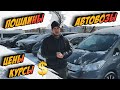 Последний вывоз Авто из Японии 2022 года ☃