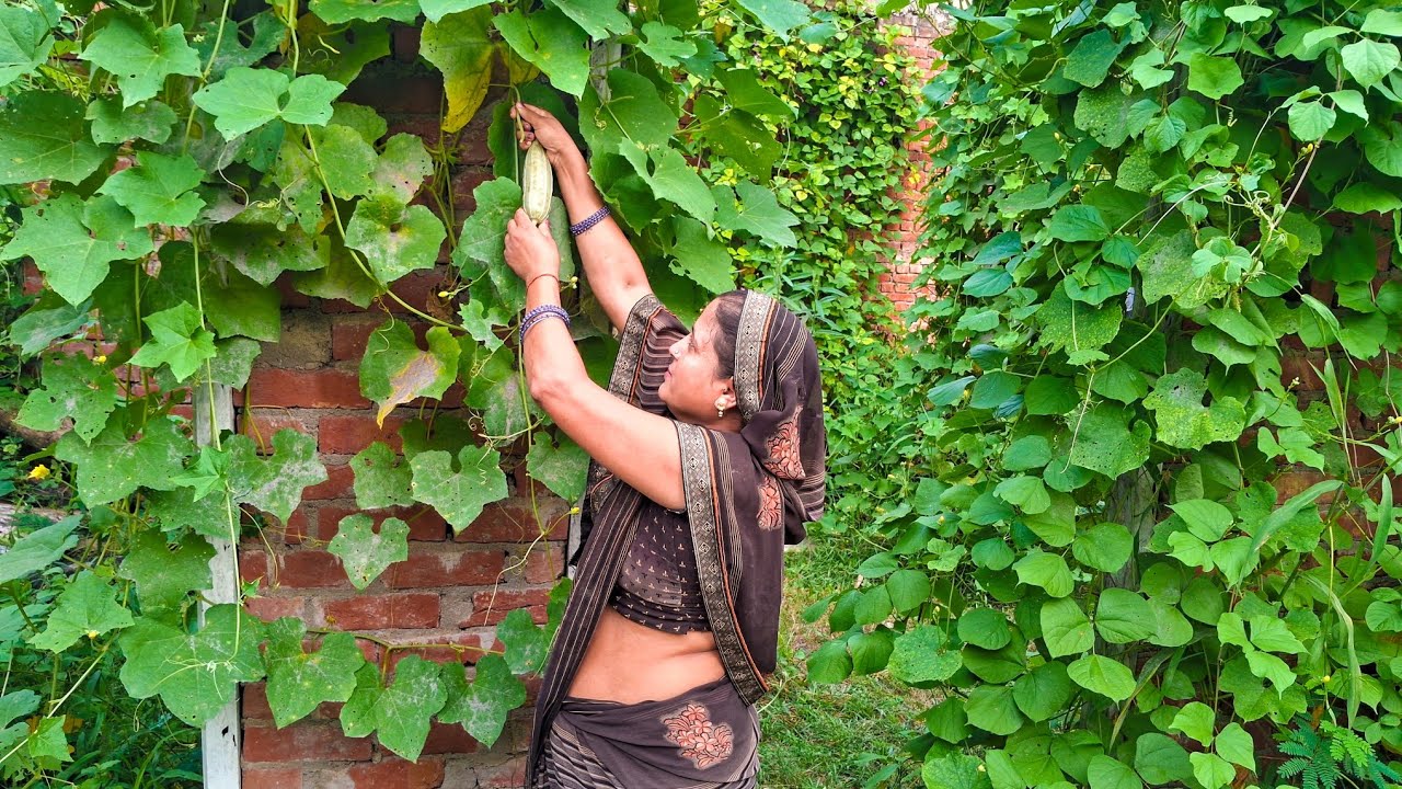 Finaly मेरी सारी सब्जियों में फल लगने लगा 🌿 | Village Vlog🏕️