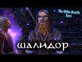 Архимаг ШАЛИДОР, великий норд-маг | The Elder Scrolls Лор