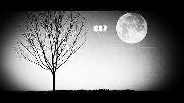 Reality Check. Lyric Video.