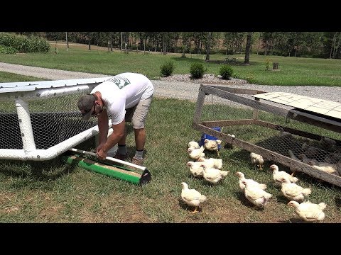 you've-never-seen-anything-like-this!-cool-chicken-coop-ideas-for-"grass-fed"-poultry!