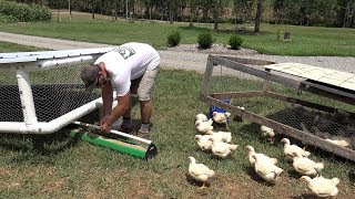 You've never seen anything like this! Cool chicken coop ideas for 'grass fed' poultry!