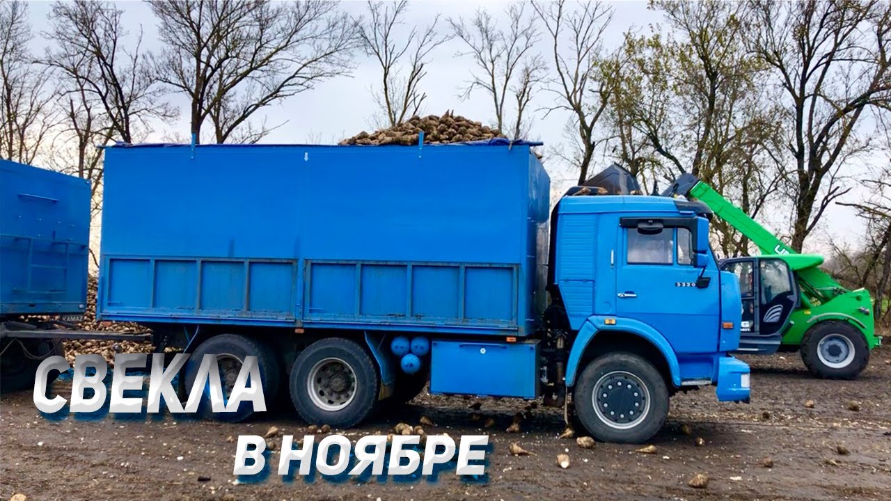 СЛОЖНОСТИ уборки в ноябре на КАМАЗЕ - YouTube