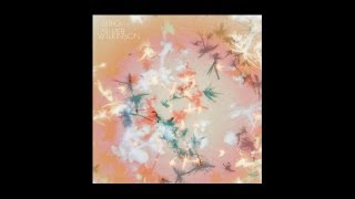 Bibio - Mirroring All