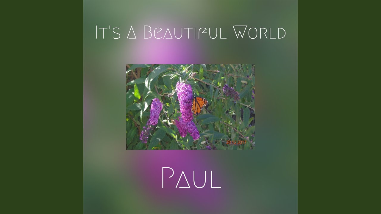 It's A Beautiful World