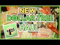 “NEW Dollar Tree Haul! 💚Cute Cosmetic Bags + Christmas Stickers!
