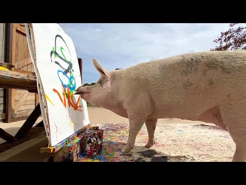 Painting Pig Creates Prince Harry Portrait