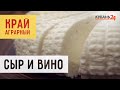 Сыр и вино | Край аграрный