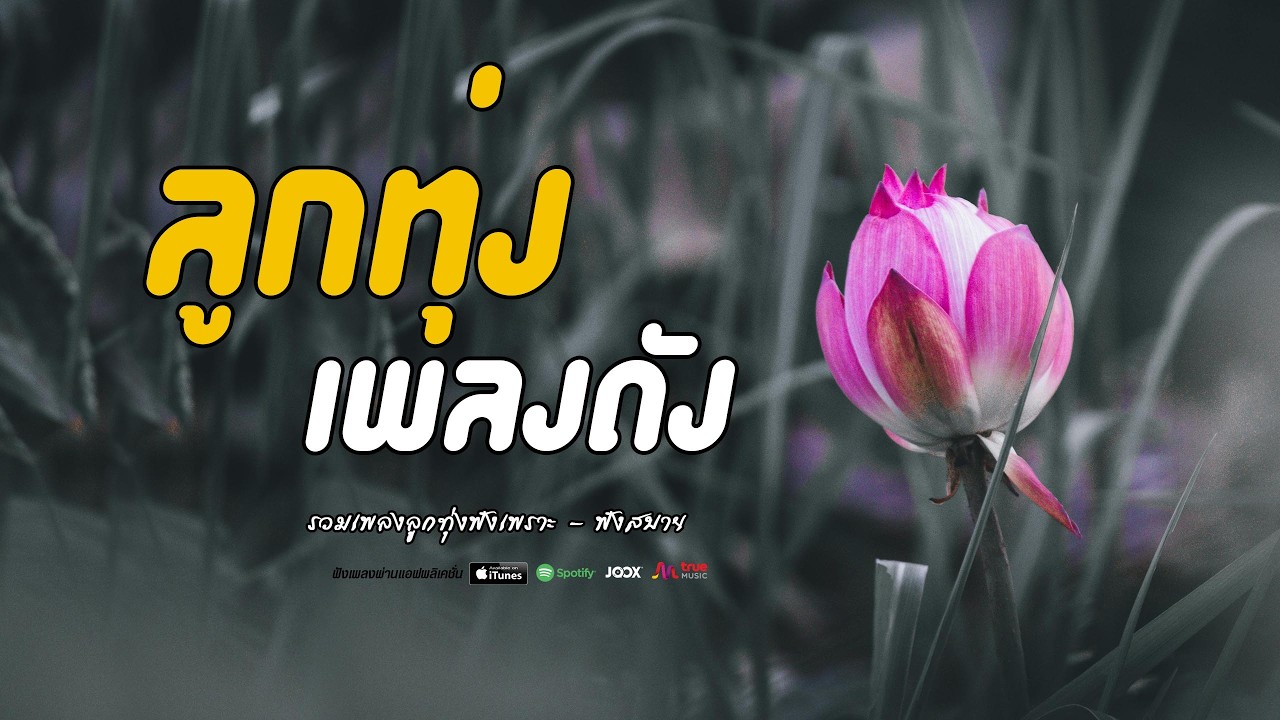 ลูกทุ่งเพลงเดัง  เพลงเพราะต่อเนื่อง   #รวมเพลงดัง