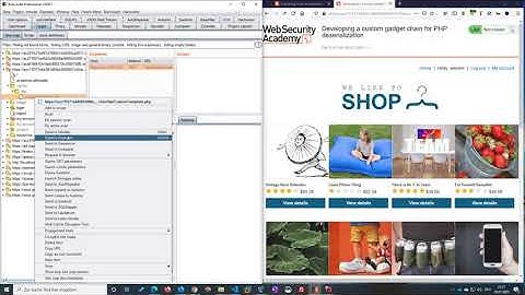 Developing a custom gadget chain for PHP deserialization (Video solution)