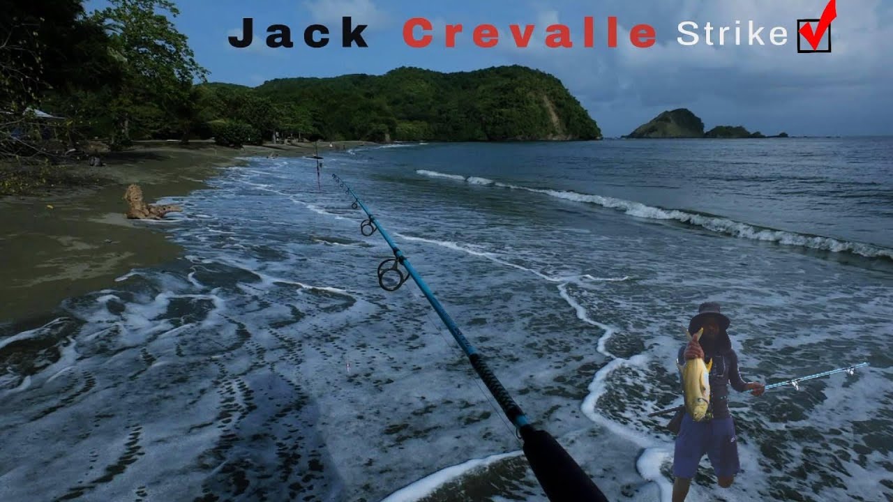 Feeding frenzy while casting artificial lures from shore 