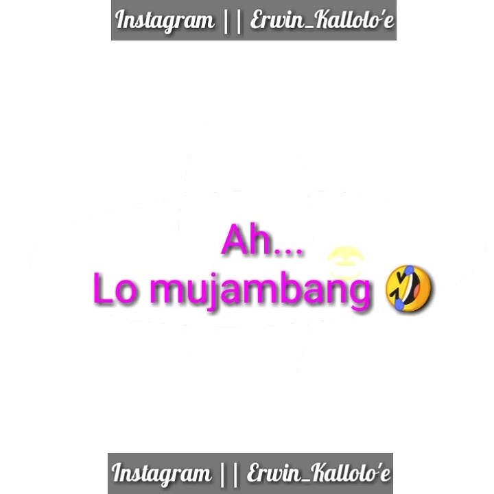 Story WA Bugis || 30 detik.