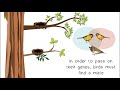 Understanding Ecological Niches