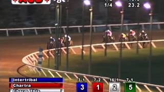 Assiniboia Downs - July 19, 2014 - Race 8